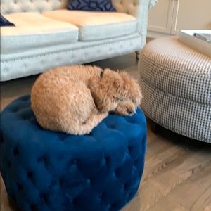 Meet your Posher, Lesley